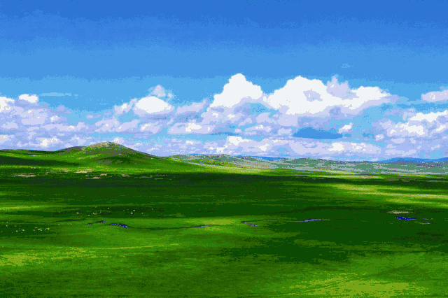 1703211817499204.gif 640.gif