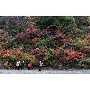 “声动”二十四节气·霜降