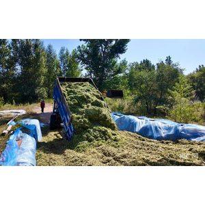 内蒙古库伦旗：饲草抢收 全力储备牲畜越冬口粮