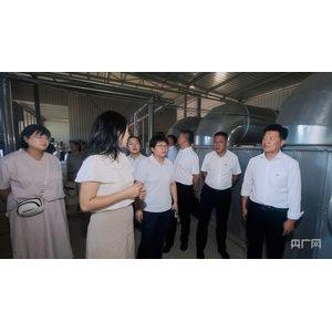 土右旗:“擂台”摆在田垄上