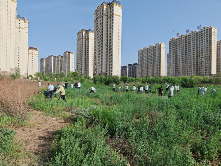 昆都仑区:每一片新绿都是城市更新的注脚