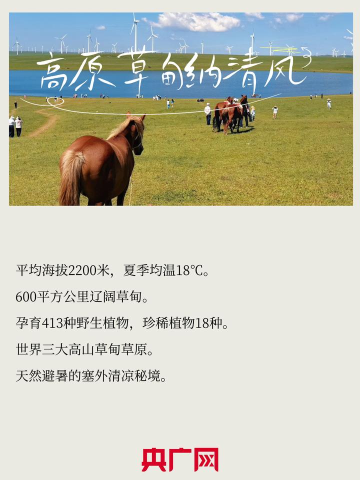 数说绿色 智引发展丨草原夏日来信，避暑纳凉享清欢