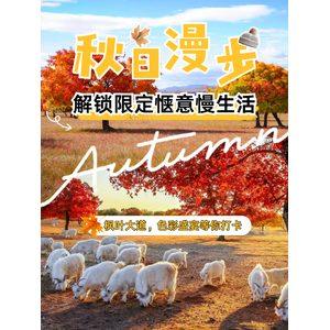 秋风来信 | 科右中旗的五角枫,正偷偷变红啦!