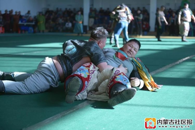 4.webp